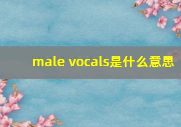 male vocals是什么意思